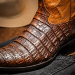 Western Collection Phoenix // Caiman Belly Leather Cowboy Boot // Aged Maple (US: 7.5)