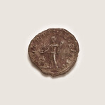 Hoard of Roman Silver Coins // Circa 145 BC to 235 AD