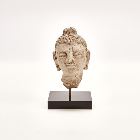 Indus Valley Head of Buddha // 4th - 5th Century AD