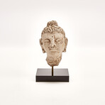 Indus Valley Head of Buddha // 4th - 5th Century AD