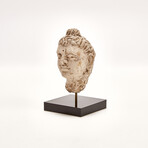 Indus Valley Head of Buddha // 4th - 5th Century AD
