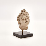 Indus Valley Head of Buddha // 4th - 5th Century AD