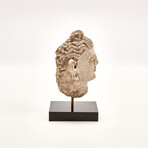 Indus Valley Head of Buddha // 4th - 5th Century AD
