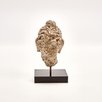 Indus Valley Head of Buddha // 4th - 5th Century AD
