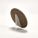 Qing Dynasty Chinese Mirror // Circa 1644-1911 AD