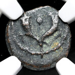 Biblical "Poor Widow's Mite" // First Jewish Coin