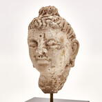 Indus Valley Head of Buddha // 4th - 5th Century AD