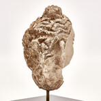 Indus Valley Head of Buddha // 4th - 5th Century AD