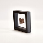 Pre-Columbian Michoacán Fragment // c. 200 BC Mexico