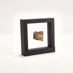 Pre-Columbian Michoacán Fragment // c. 200 BC Mexico