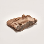 Pre-Columbian Michoacán Fragment // c. 200 BC Mexico