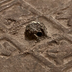 Qing Dynasty Chinese Mirror // Circa 1644-1911 AD