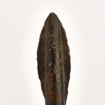 Excellent Greek Arrowhead // 5th-4th Century BC