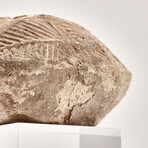 Arab-Byzantine Oil Lamp // 7th-8th century AD