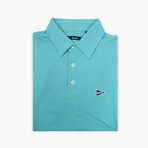 The Blue & Green Stripe Polo // Blue + Green (M)
