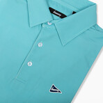The Blue & Green Stripe Polo // Blue + Green (M)