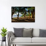 Ancient Family by Chuck Burdick (16"H x 24"W x 1.5"D)