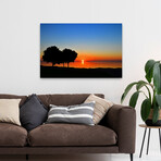 Rise and Shine by Chuck Burdick (16"H x 24"W x 1.5"D)