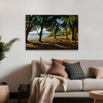 Ancient Family by Chuck Burdick (16"H x 24"W x 1.5"D)