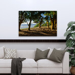 Ancient Family by Chuck Burdick (16"H x 24"W x 1.5"D)