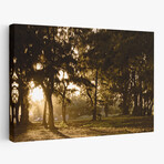 Daybreak by Chuck Burdick (16"H x 24"W x 1.5"D)