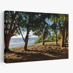 Ancient Family by Chuck Burdick (16"H x 24"W x 1.5"D)