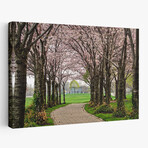 Cherry Blossom Path by Chuck Burdick (16"H x 24"W x 1.5"D)