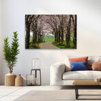 Cherry Blossom Path by Chuck Burdick (16"H x 24"W x 1.5"D)