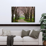 Cherry Blossom Path by Chuck Burdick (16"H x 24"W x 1.5"D)