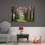 Cherry Blossom Path by Chuck Burdick (16"H x 24"W x 1.5"D)