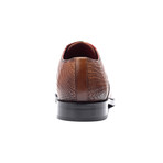 Arlo Leather Cap-Toe Oxford // Brown Burnished (US: 8.5)