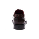 Felix Leather Wingtip Shoe // Brown (US: 7)