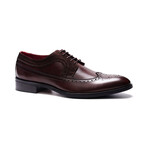Felix Leather Wingtip Shoe // Brown (US: 7)