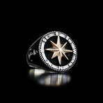 North Star and Compass (9)