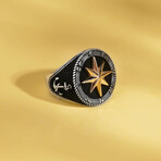 North Star and Compass (9)