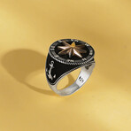 North Star and Compass (9)