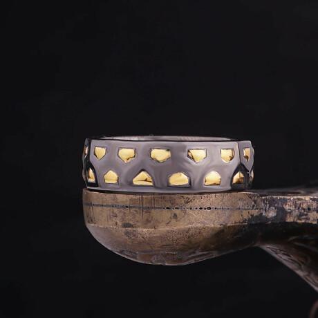 Rocky Mountains Ring (5)