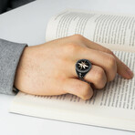 North Star and Compass (9)