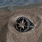 North Star and Compass (9)