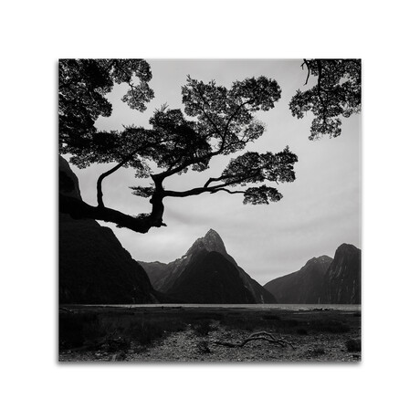 Spring In New Zealand I Print on Acrylic Glass by Daniel Kordan (24"H x 24"W x 0.25"D)