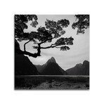 Spring In New Zealand I Print on Acrylic Glass by Daniel Kordan (24"H x 24"W x 0.25"D)