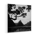 Spring In New Zealand I Print on Acrylic Glass by Daniel Kordan (24"H x 24"W x 0.25"D)