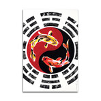 Koi Fish Print on Acrylic Glass by Soo Beng Lim (16"H x 24"W x 0.25"D)