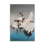 Winter In Hokkaido Print on Acrylic Glass by Caroline R. Young (16"H x 24"W x 0.25"D)