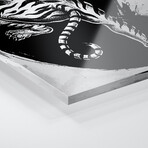 Japanese Tiger Print on Acrylic Glass by Cornel Vlad (16"H x 24"W x 0.25"D)