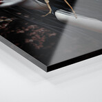 The Hunt Print on Acrylic Glass by Victoria Obscure (16"H x 24"W x 0.25"D)