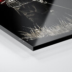 Bushido Samurai Back Turned Print on Acrylic Glass by Cornel Vlad (16"H x 24"W x 0.25"D)