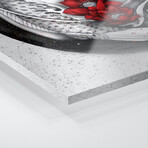 Balance Print on Acrylic Glass by Marine Loup (24"H x 24"W x 0.25"D)