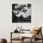 Spring In New Zealand I Print on Acrylic Glass by Daniel Kordan (24"H x 24"W x 0.25"D)