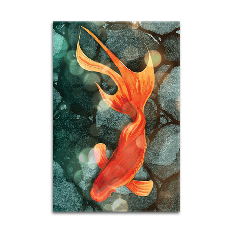 Fantail I Print on Acrylic Glass by Alicia Ludwig (16"H x 24"W x 0.25"D)